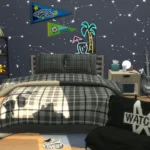 Teen Boys Bedroom