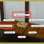 Microgreens Growing Kit