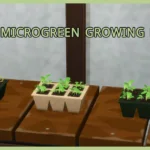 Microgreens Growing Kit