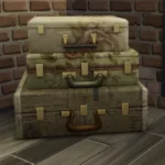 Grandma's Trunks