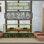 Microgreens Growing Kit