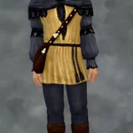 TSM Aristocrat Puffy Shirt Tunic Simplified