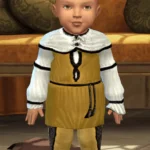 TSM Aristocrat Puffy Shirt Tunic Simplified