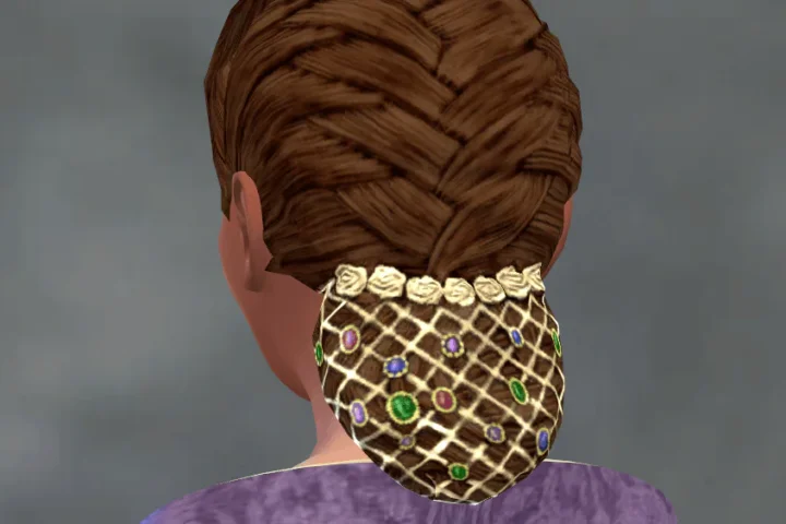 TSM French Braid with Jewelled Hairnet