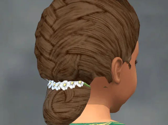 TSM French Braid with Daisy Flowers
