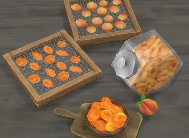 Dried Apricots Ingredient