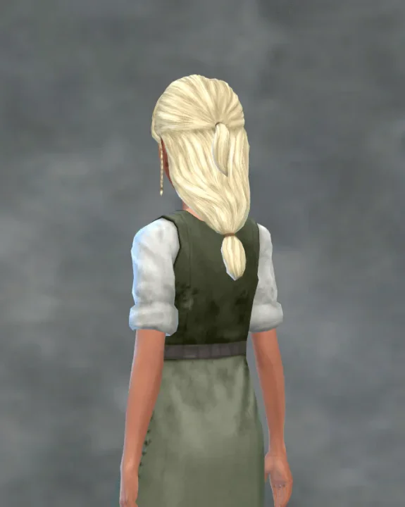 TSM Front Braids Medium Hair