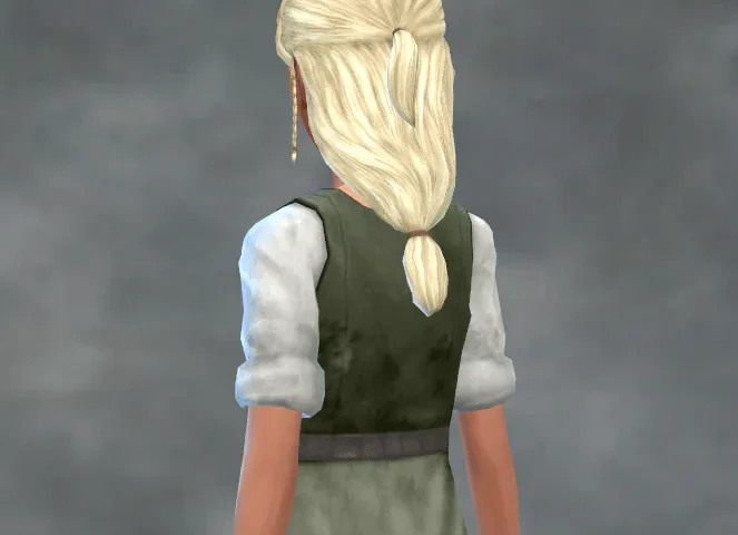 TSM Front Braids Medium Hair
