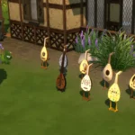 Nine Medieval Lutes from TSM - Lute skill version