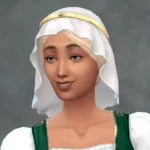 TSM Veil with Headband - Hat-Hair version