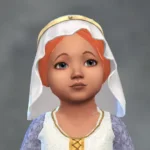 TSM Veil with Headband - Hat-Hair version