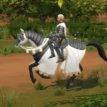 TSM Knight Cape for Ladies