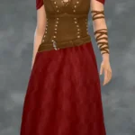 TSM Spy Leather Corset - Pants or Long Skirt versions