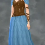 TSM Spy Leather Corset - Pants or Long Skirt versions