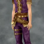 TSM Rogue - Medieval Fighter Outfit