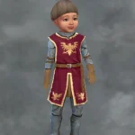 TSM Knight Tunic Chainmail