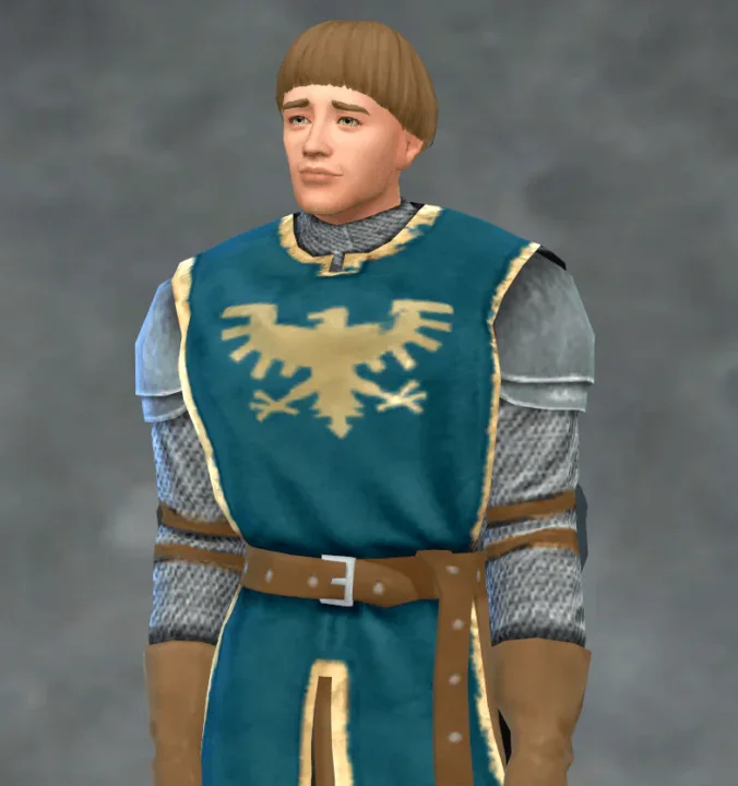 TSM Knight Tunic Chainmail