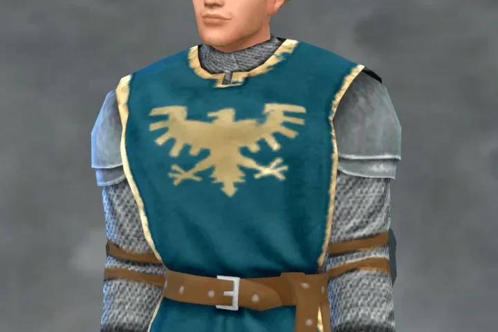 TSM Knight Tunic Chainmail