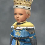 TSM Jewelled Crown with Hair Attached