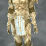 TSM Knight Armor: Paladin