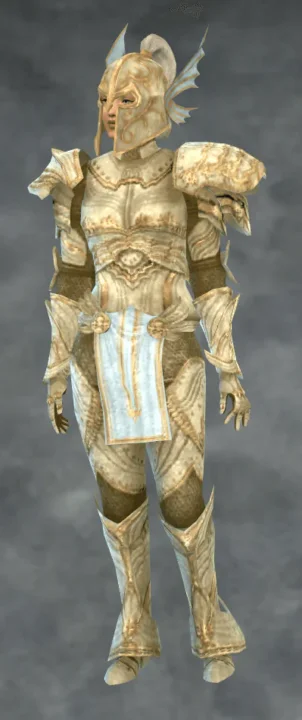 TSM Knight Helmet: Paladin, with Hair Attached