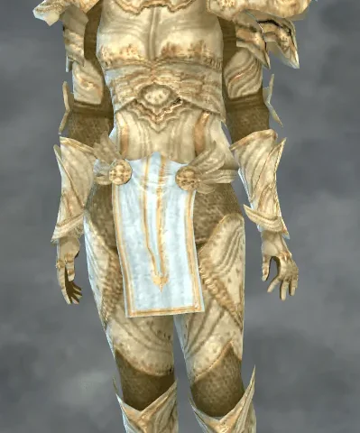 TSM Knight Helmet: Paladin, with Hair Attached