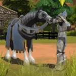 TSM Knight Armor: Paladin