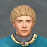 TSM Short Bowl Cut Hair for all ages