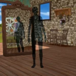 Ranch Style (CAS Room)