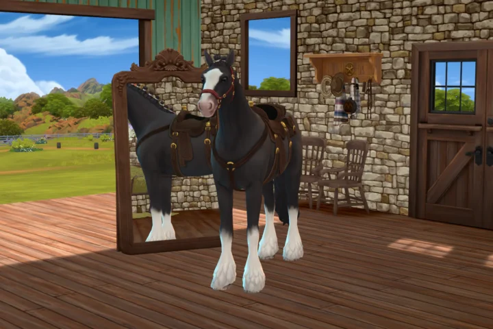Ranch Style (CAS Room)