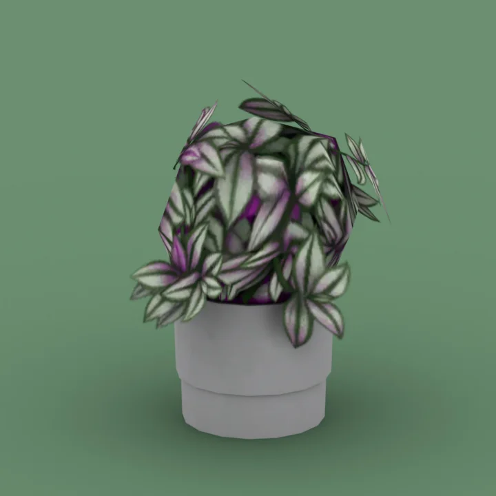 QICC - Evergreen Medium Plant in a Pot