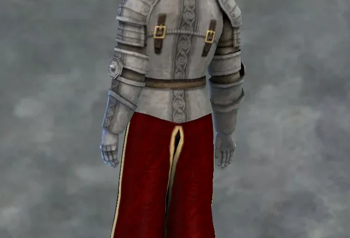 TSM Knight Chest Belt Armor and Helmet