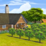 Grapevine Terrace