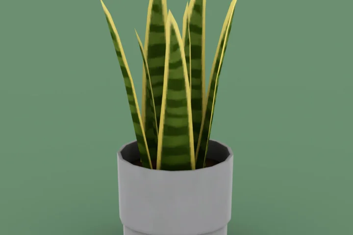 QICC - Evergreen Small Plant in a Pot