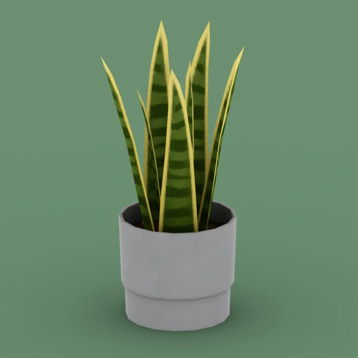 QICC - Evergreen Small Plant in a Pot