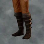 TSM Aristocrat Boots Model 2