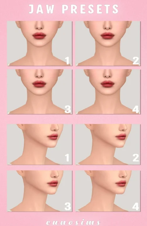 Jaw preset 1-4