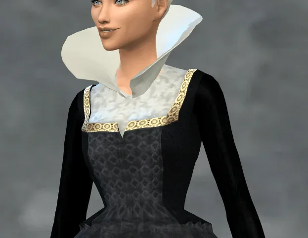 High Collar Accessory