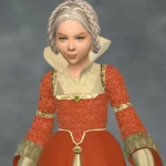 High Collar Accessory