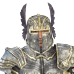 TSM Knight Armor: Paladin