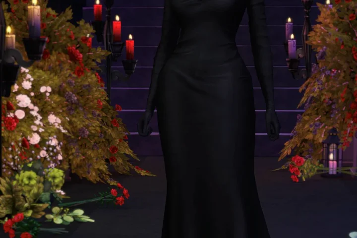 Countess of Darkness - Silhouette Dress