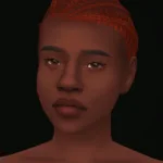 Copenhagen Skin Overlay