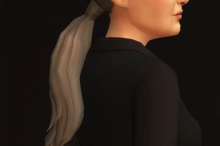 Ponytail Hair