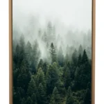 Autumn forest wall prints