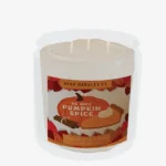 Functional Pumpkin spice candle 3 wicks
