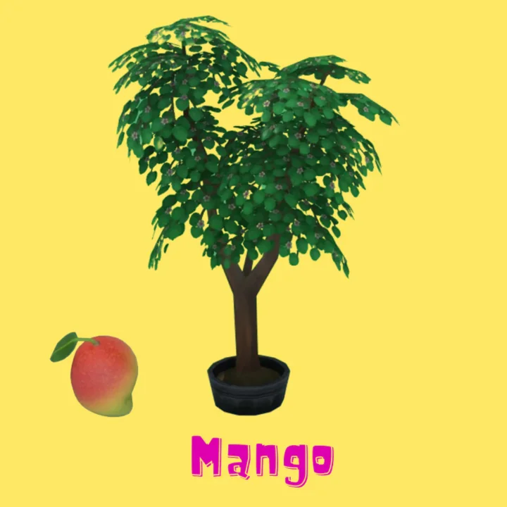 Mango (Harvestable)