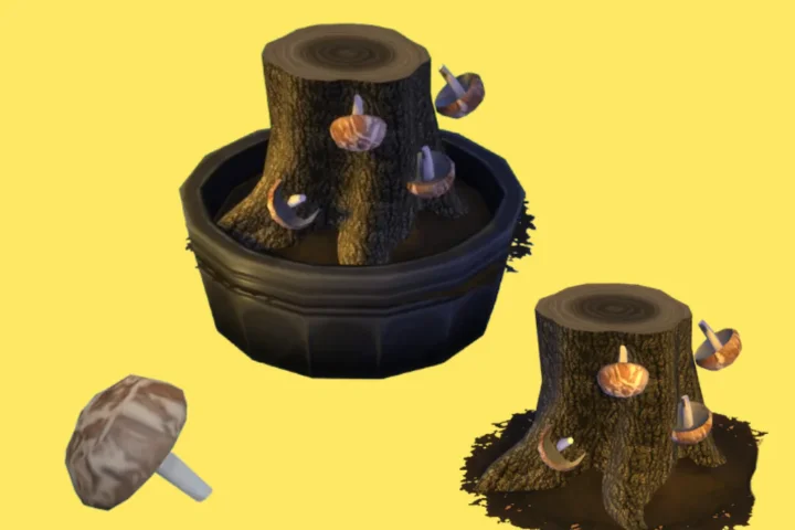 Shiitake Mushroom