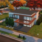 Modern Contemporary House