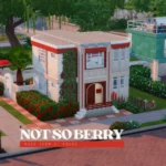 not so berry rose house | NSB challenge | politician home