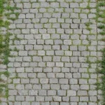 Grassy Stone Pavers + Grass